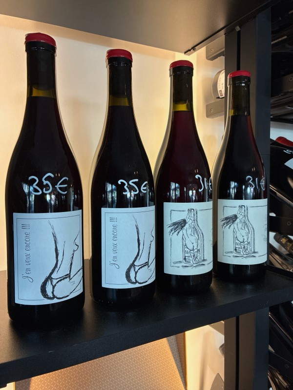 Domaine Ganevat dans le Jura, Mr et Mme Anne et Jean François GANEVAT